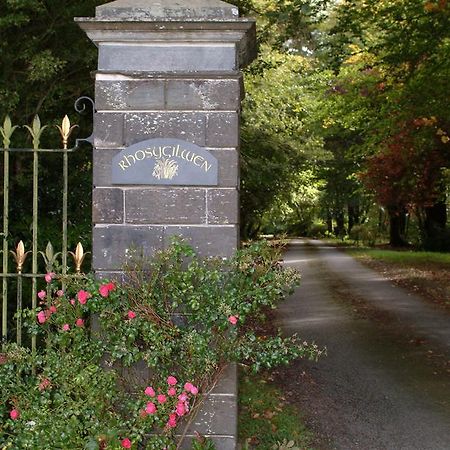 Rhosygilwen Courtyard Bed and Breakfast Cilgerran Buitenkant foto